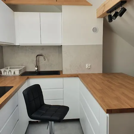 アパート Arinea Poddasze *