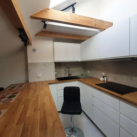 アパート Arinea Poddasze *