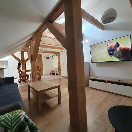 Arinea Poddasze アパート ウェバ