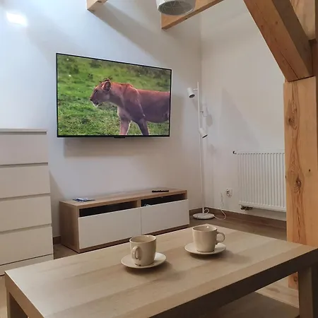 Arinea Poddasze アパート *