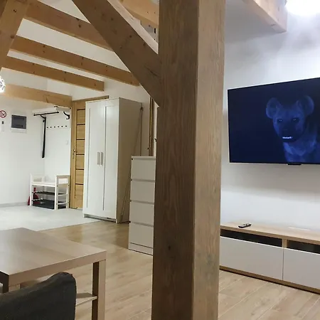 アパート Arinea Poddasze ウェバ