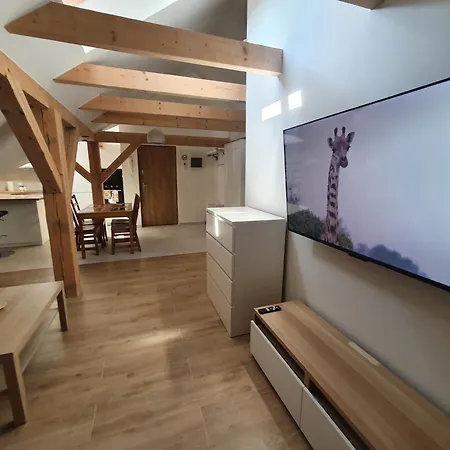 Arinea Poddasze * ウェバ