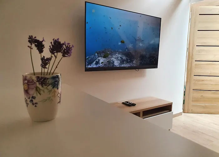 Arinea Poddasze 公寓