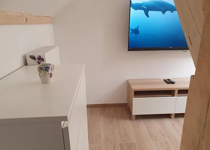 Arinea Poddasze * 莱鲍