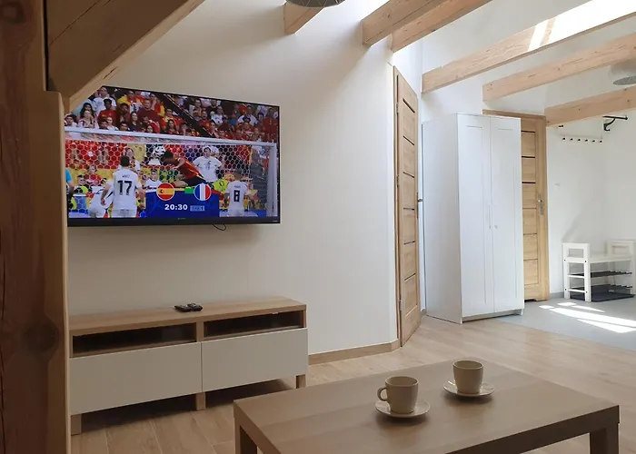 Arinea Poddasze 公寓 *