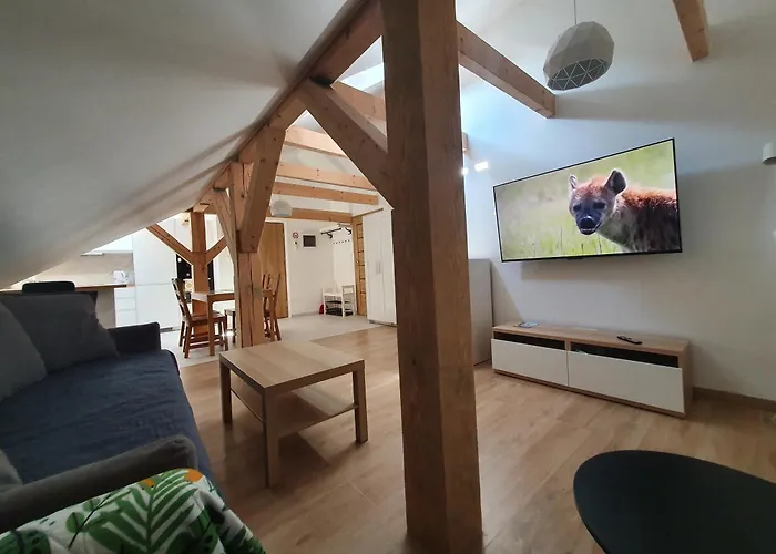 Arinea Poddasze 公寓 莱鲍