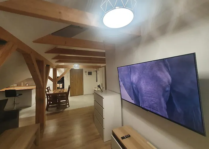 Arinea Poddasze 公寓