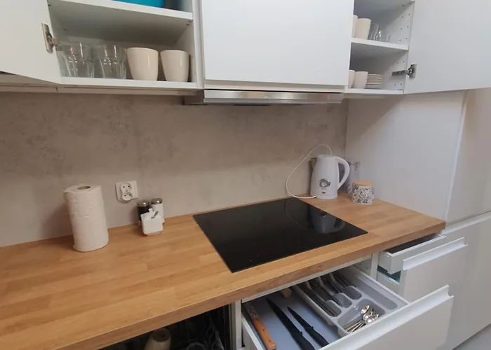 Arinea Poddasze 公寓 莱鲍