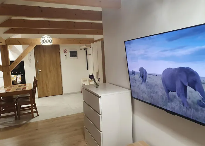 Arinea Poddasze 公寓 *