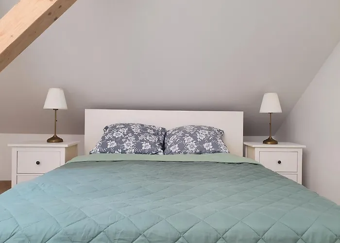 公寓 Arinea Poddasze 莱鲍