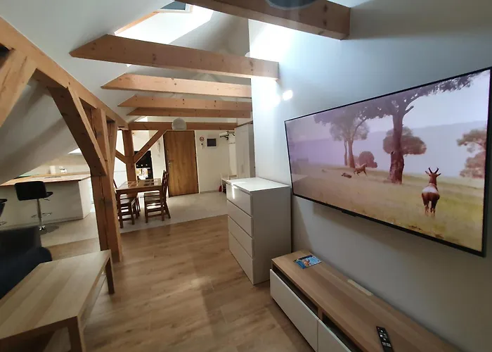 Arinea Poddasze 公寓 *