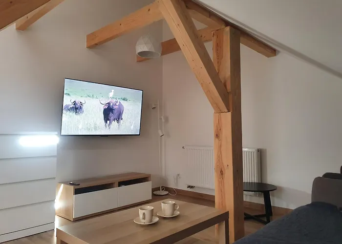 Arinea Poddasze 公寓 莱鲍