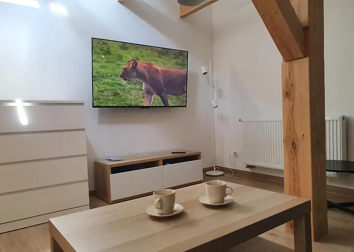 Arinea Poddasze 公寓 *