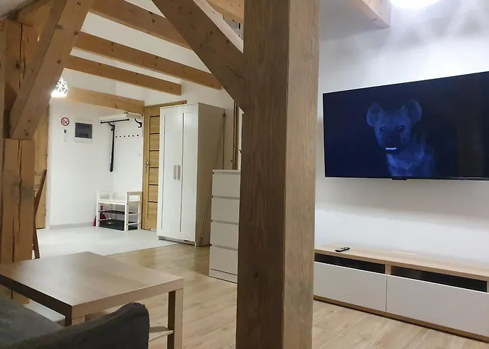 公寓 Arinea Poddasze 莱鲍