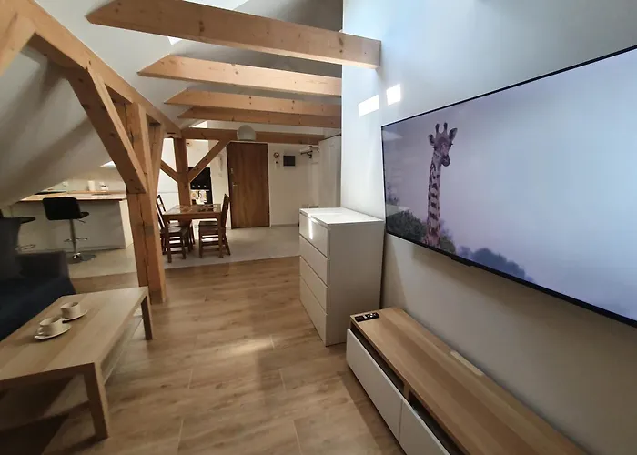 Arinea Poddasze * 莱鲍